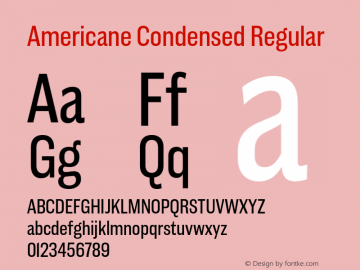 Americane Cond Version 1.000图片样张