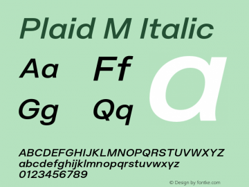 Plaid M Italic Version 1.000;PS 001.000;hotconv 1.0.88;makeotf.lib2.5.64775图片样张