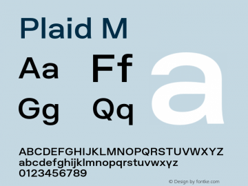 Plaid M Version 1.000;PS 001.000;hotconv 1.0.88;makeotf.lib2.5.64775图片样张
