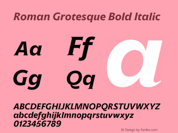 Roman Grotesque Bold Italic Version 1.001;hotconv 1.0.109;makeotfexe 2.5.65596图片样张