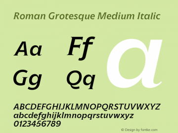 Roman Grotesque Medium Italic Version 1.001;hotconv 1.0.109;makeotfexe 2.5.65596图片样张