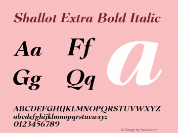 Shallot Extra Bold Italic Version 1.000图片样张