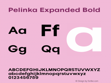 Pelinka-ExpandedBold Version 1.000图片样张