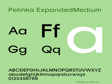 Pelinka-ExpandedMedium Version 1.000图片样张