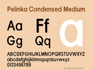 Pelinka-CondensedMedium Version 1.000图片样张