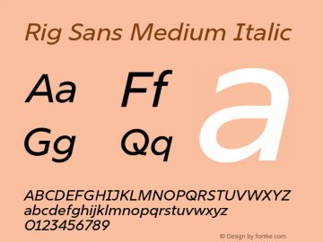 Rig Sans Medium Italic Version 1.000;FEAKit 1.0图片样张