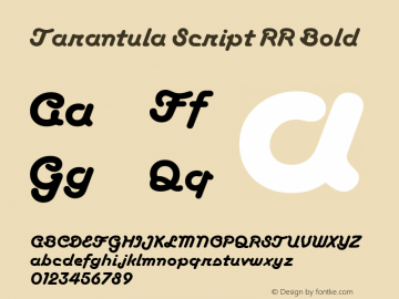 Tarantula Script RR Bold 1.0 2001 Demo图片样张