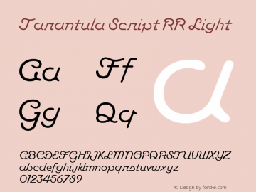 Tarantula Script RR Light 1.0 2001图片样张