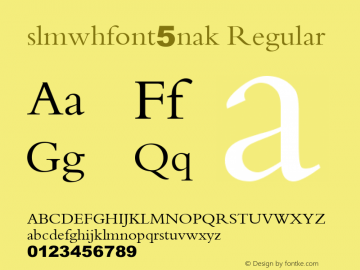 slmwhfont5nak Regular Version 5图片样张