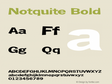 Notquite Bold Version 001.000图片样张