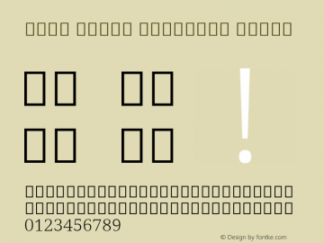 Noto Serif Gurmukhi Light Version 2.000; ttfautohint (v1.8.2)图片样张