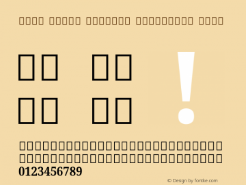 Noto Serif Sinhala Condensed Bold Version 2.001; ttfautohint (v1.8.2)图片样张