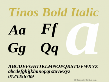 Tinos Bold Italic Version 1.33; ttfautohint (v1.8.2)图片样张