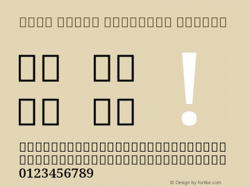 Noto Serif Vithkuqi Medium Version 1.000图片样张