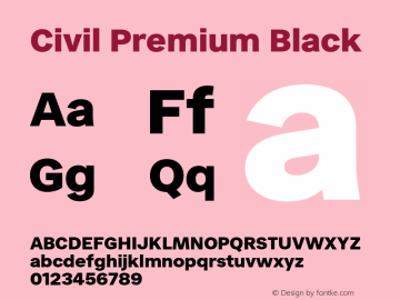 Civil Premium Black Version 1.000;FEAKit 1.0图片样张