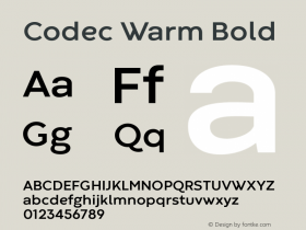 Codec Warm Bold 1.000图片样张