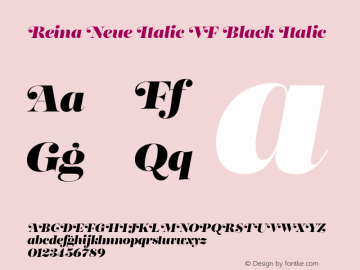 Reina Neue Italic VF Black Ita 1.0 | web-TTFV图片样张
