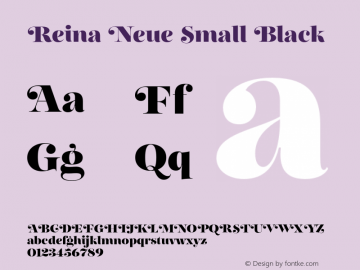 ReinaNeueSmall-Black 1.0 | web-OT图片样张