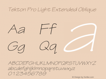 TektonPro-LightExtObl Version 2.073;PS 2.000;hotconv 1.0.70;makeotf.lib2.5.5900图片样张