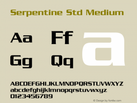 SerpentineStd-Medium Version 2.077;PS 005.000;hotconv 1.0.67;makeotf.lib2.5.33168图片样张