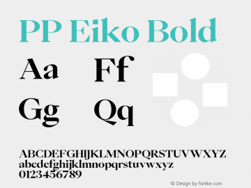 PP Eiko Bold Version 1.000图片样张