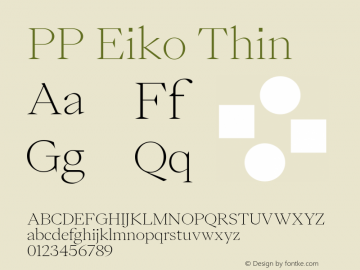 PP Eiko Thin Version 1.000图片样张