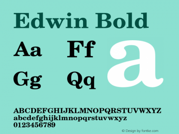 Edwin-Bold Version 1.00图片样张