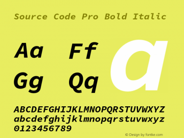 Source Code Pro Bold Italic Version 1.050;PS 1.0;hotconv 16.6.51;makeotf.lib2.5.65220图片样张