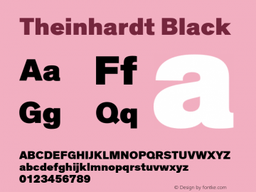 Theinhardt-Black Version 3.001图片样张