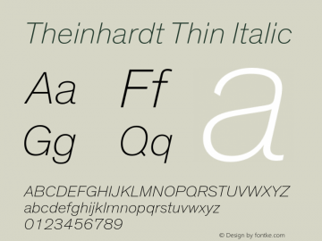 Theinhardt-ThinIta Version 3.001图片样张