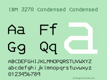 IBM 3270 Condensed Version 2.3.1图片样张