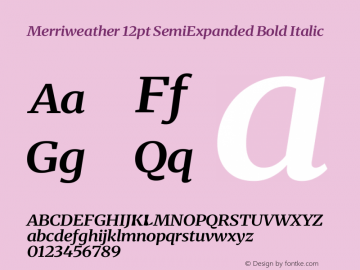 Merriweather 12pt SemiExpanded Bold Italic Version 2.100图片样张