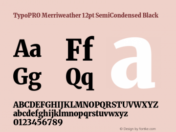 TypoPRO Merriweather 12pt SemiCondensed Black Version 2.100图片样张