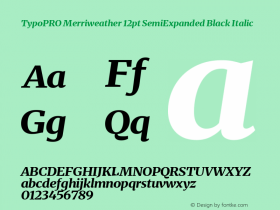 TypoPRO Merriweather Text SemiExpanded Black Version 2.100图片样张