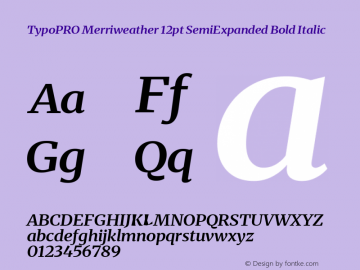 TypoPRO Merriweather Text SemiExpanded Regular Version 2.100图片样张