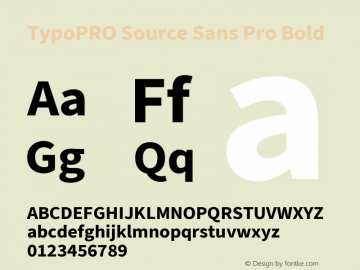 TypoPRO Source Sans 3 Bold Version 3.046;hotconv 1.0.118;makeotfexe 2.5.65603图片样张