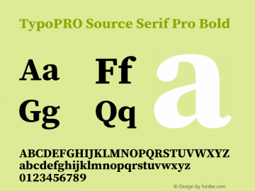 TypoPRO Source Serif 4 Bold Version 4.004;hotconv 1.0.117;makeotfexe 2.5.65602图片样张