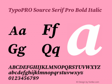 TypoPRO Source Serif 4 Bold Italic Version 4.004;hotconv 1.0.117;makeotfexe 2.5.65602图片样张