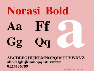 Norasi Bold Version 006.003图片样张