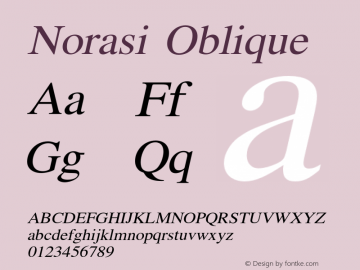 Norasi Oblique Version 006.003图片样张