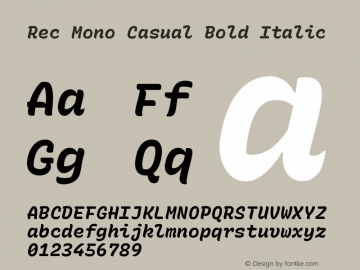 Rec Mono Casual Bold Italic Version 1.081图片样张
