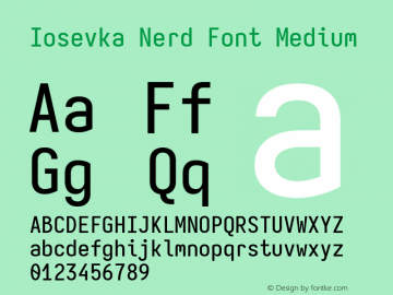 Iosevka Mayukai Serif Medium Nerd Font Complete Version 10.3.4; ttfautohint (v1.8.4)图片样张