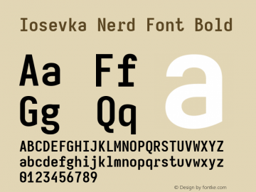 Iosevka Mayukai Codepro Bold Nerd Font Complete Version 10.3.4; ttfautohint (v1.8.4)图片样张