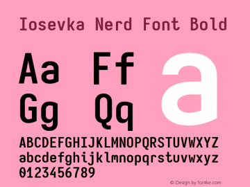 Iosevka Mayukai Serif Bold Nerd Font Complete Version 10.3.4; ttfautohint (v1.8.4)图片样张