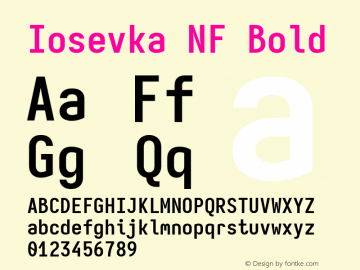 Iosevka Mayukai Serif Bold Nerd Font Complete Windows Compatible Version 10.3.4; ttfautohint (v1.8.4)图片样张