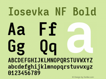 Iosevka Mayukai Monolite Bold Nerd Font Complete Windows Compatible Version 10.3.4; ttfautohint (v1.8.4)图片样张
