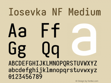 Iosevka Mayukai Sonata Medium Nerd Font Complete Windows Compatible Version 10.3.4; ttfautohint (v1.8.4)图片样张