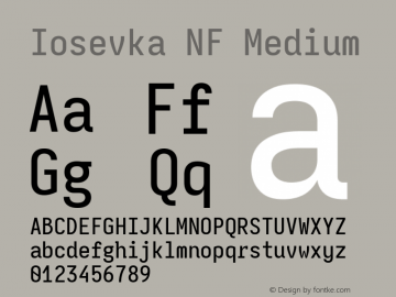 Iosevka Mayukai Monolite Medium Nerd Font Complete Windows Compatible Version 10.3.4; ttfautohint (v1.8.4)图片样张