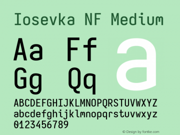 Iosevka Mayukai Serif Medium Nerd Font Complete Windows Compatible Version 10.3.4; ttfautohint (v1.8.4)图片样张