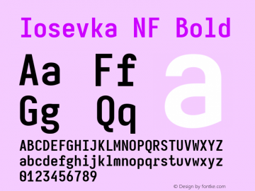Iosevka Mayukai Codepro Bold Nerd Font Complete Windows Compatible Version 10.3.4; ttfautohint (v1.8.4)图片样张